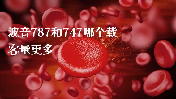 波音787和747哪个载客量更多_https://www.fsyjjx.cn_股票指导_第1张
