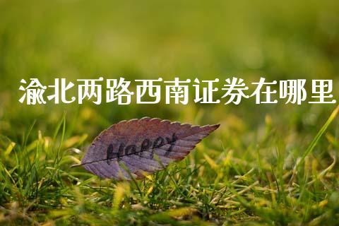 渝北两路西南证券在哪里_https://www.fsyjjx.cn_期货研报_第1张