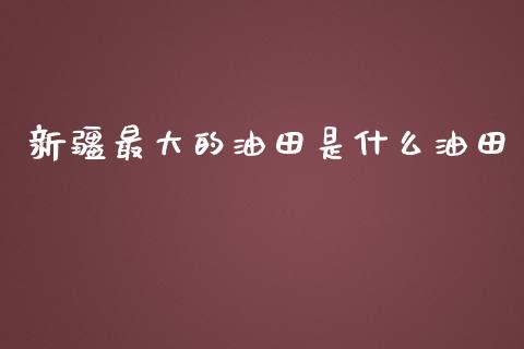 新疆最大的油田是什么油田_https://www.fsyjjx.cn_期货资讯_第1张