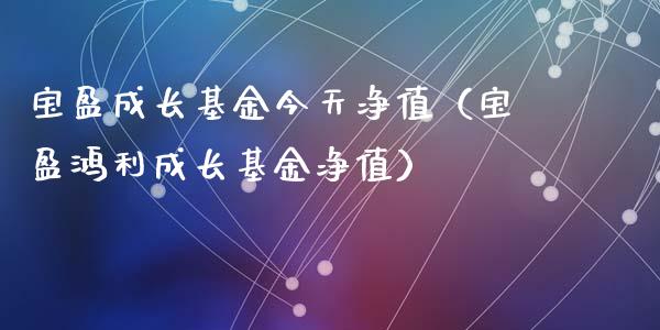 宝盈成长基金今天净值（宝盈鸿利成长基金净值）_https://www.fsyjjx.cn_问财精选_第1张