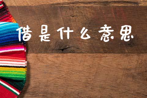 借是什么意思_https://www.fsyjjx.cn_股市分析_第1张