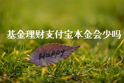 基金理财支付宝本金会少吗_https://www.fsyjjx.cn_问财精选_第1张