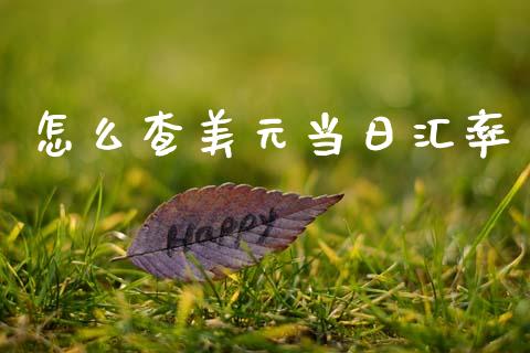 怎么查美元当日汇率_https://www.fsyjjx.cn_期货资讯_第1张
