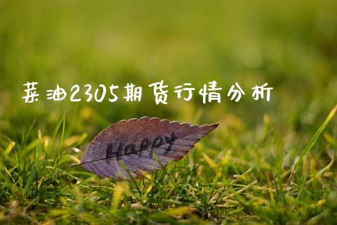 菜油2305期货行情分析_https://www.fsyjjx.cn_期货研报_第1张