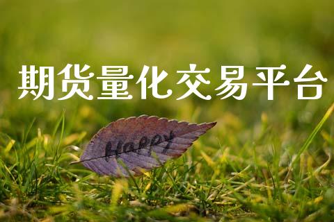 期货量化交易平台_https://www.fsyjjx.cn_期货资讯_第1张