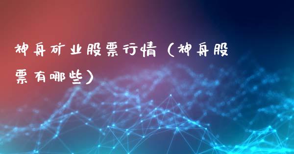 神舟矿业股票行情（神舟股票有哪些）_https://www.fsyjjx.cn_股指期货_第1张