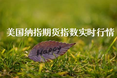 美国纳指期货指数实时行情_https://www.fsyjjx.cn_期货研报_第1张