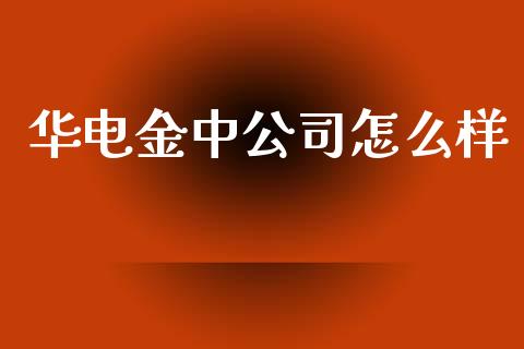 华电金中公司怎么样_https://www.fsyjjx.cn_股指期货_第1张