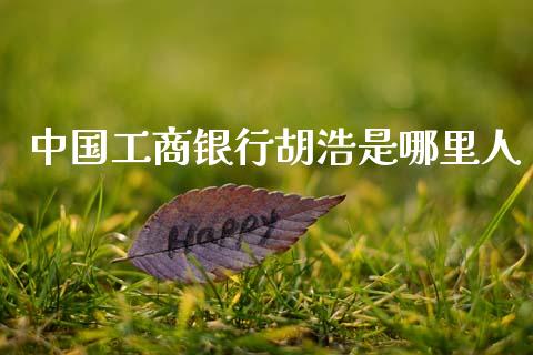 中国工商银行胡浩是哪里人_https://www.fsyjjx.cn_问财精选_第1张