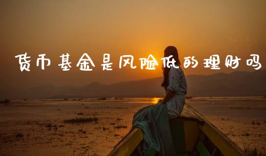 货币基金是风险低的理财吗_https://www.fsyjjx.cn_理财资讯_第1张