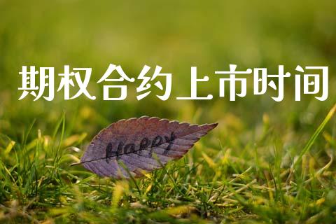 期权合约上市时间_https://www.fsyjjx.cn_股票指导_第1张