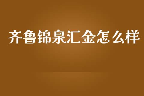齐鲁锦泉汇金怎么样_https://www.fsyjjx.cn_股指期货_第1张