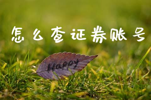 怎么查证券账号_https://www.fsyjjx.cn_期货研报_第1张