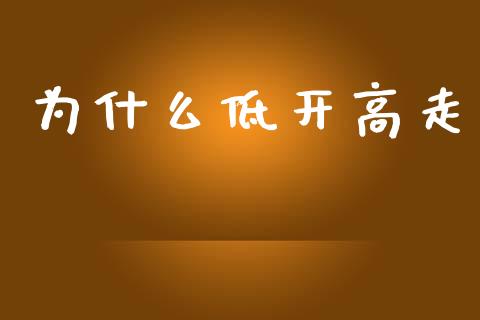 为什么低开高走_https://www.fsyjjx.cn_期货研报_第1张