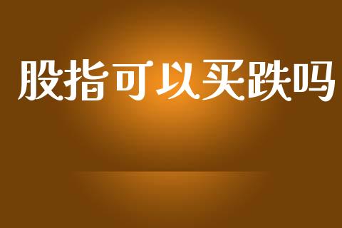 股指可以买跌吗_https://www.fsyjjx.cn_期货研报_第1张