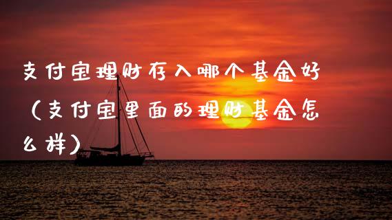 支付宝理财存入哪个基金好（支付宝里面的理财基金怎么样）_https://www.fsyjjx.cn_问财精选_第1张