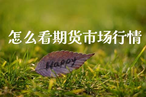 怎么看期货市场行情_https://www.fsyjjx.cn_期货资讯_第1张