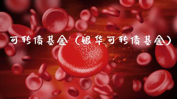可转债基金（银华可转债基金）_https://www.fsyjjx.cn_理财资讯_第1张