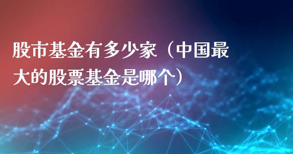 股市基金有多少家（中国最大的股票基金是哪个）_https://www.fsyjjx.cn_问财精选_第1张
