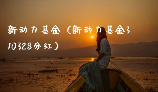 新动力基金（新动力基金310328分红）_https://www.fsyjjx.cn_问财精选_第1张