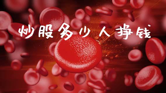 炒股多少人挣钱_https://www.fsyjjx.cn_股票指导_第1张