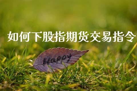 如何下股指期货交易指令_https://www.fsyjjx.cn_问财精选_第1张