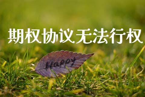 期权协议无法行权_https://www.fsyjjx.cn_问财精选_第1张