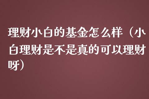理财小白的基金怎么样（小白理财是不是真的可以理财呀）_https://www.fsyjjx.cn_理财资讯_第1张