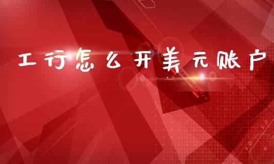 工行怎么开美元账户_https://www.fsyjjx.cn_股票指导_第1张