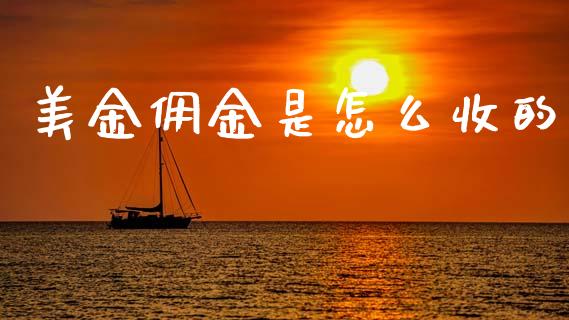 美金佣金是怎么收的_https://www.fsyjjx.cn_问财精选_第1张