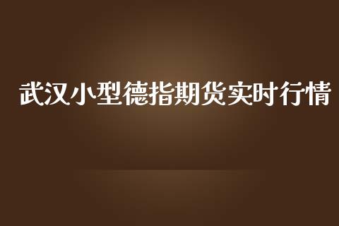武汉小型德指期货实时行情_https://www.fsyjjx.cn_期货资讯_第1张