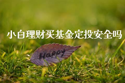 小白理财买基金定投安全吗_https://www.fsyjjx.cn_理财资讯_第1张