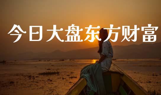 今日大盘东方财富_https://www.fsyjjx.cn_期货研报_第1张