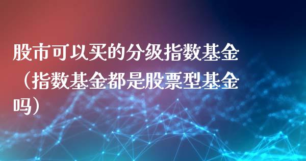 股市可以买的分级指数基金（指数基金都是股票型基金吗）_https://www.fsyjjx.cn_问财精选_第1张