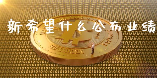 新希望什么公布业绩_https://www.fsyjjx.cn_期货研报_第1张