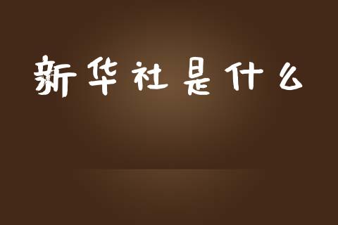 新华社是什么_https://www.fsyjjx.cn_期货资讯_第1张
