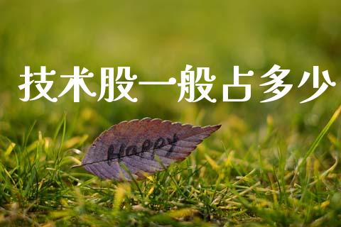 技术股一般占多少_https://www.fsyjjx.cn_股市分析_第1张