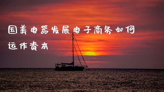 国美电器发展电子商务如何运作资本_https://www.fsyjjx.cn_期货研报_第1张