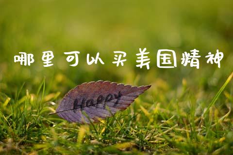 哪里可以买美国精神_https://www.fsyjjx.cn_期货研报_第1张
