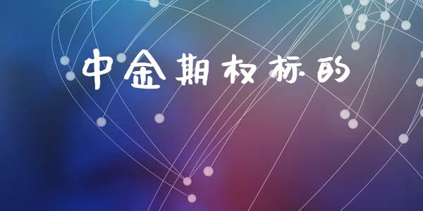 中金期权标的_https://www.fsyjjx.cn_期货研报_第1张