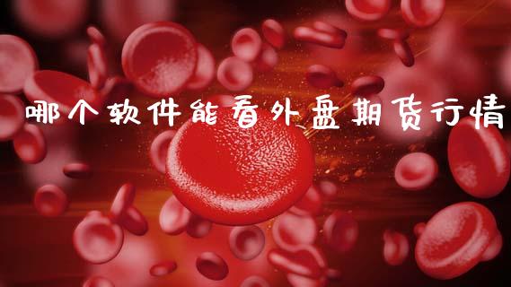 哪个软件能看外盘期货行情_https://www.fsyjjx.cn_期货研报_第1张