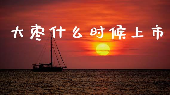 大枣什么时候上市_https://www.fsyjjx.cn_问财精选_第1张