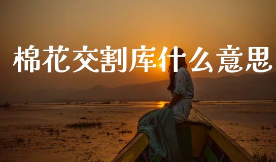 棉花交割库什么意思_https://www.fsyjjx.cn_问财精选_第1张