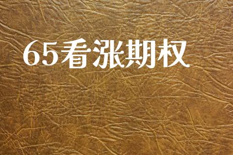 65看涨期权_https://www.fsyjjx.cn_股市分析_第1张