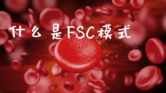 什么是FSC模式_https://www.fsyjjx.cn_问财精选_第1张