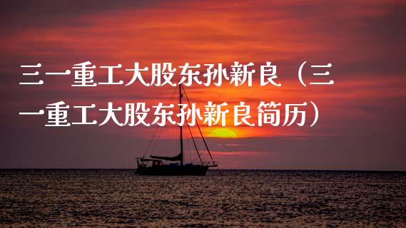 三一重工大股东孙新良（三一重工大股东孙新良简历）_https://www.fsyjjx.cn_股票指导_第1张