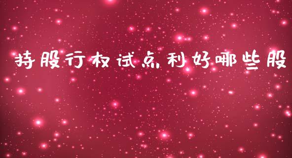 持股行权试点利好哪些股_https://www.fsyjjx.cn_股票指导_第1张