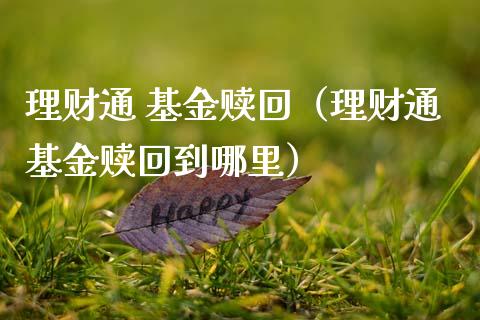 理财通 基金赎回（理财通基金赎回到哪里）_https://www.fsyjjx.cn_问财精选_第1张