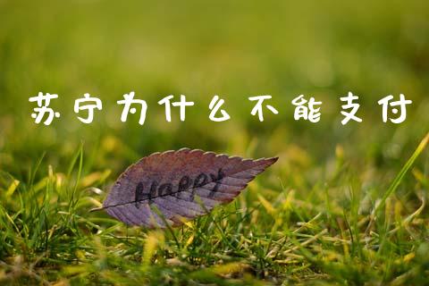 苏宁为什么不能支付_https://www.fsyjjx.cn_理财资讯_第1张