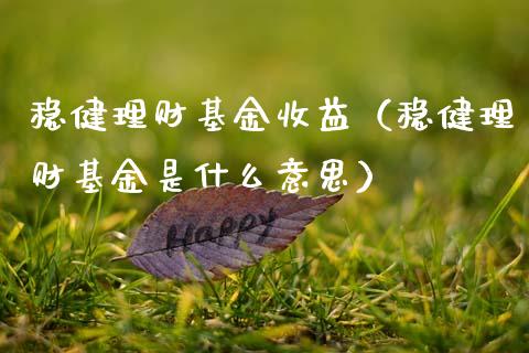 稳健理财基金收益（稳健理财基金是什么意思）_https://www.fsyjjx.cn_问财精选_第1张